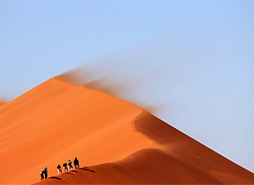 在线手机号平台