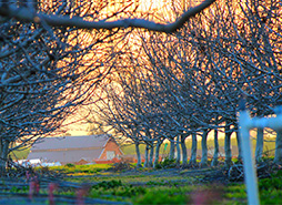 云呼短信测压网页版